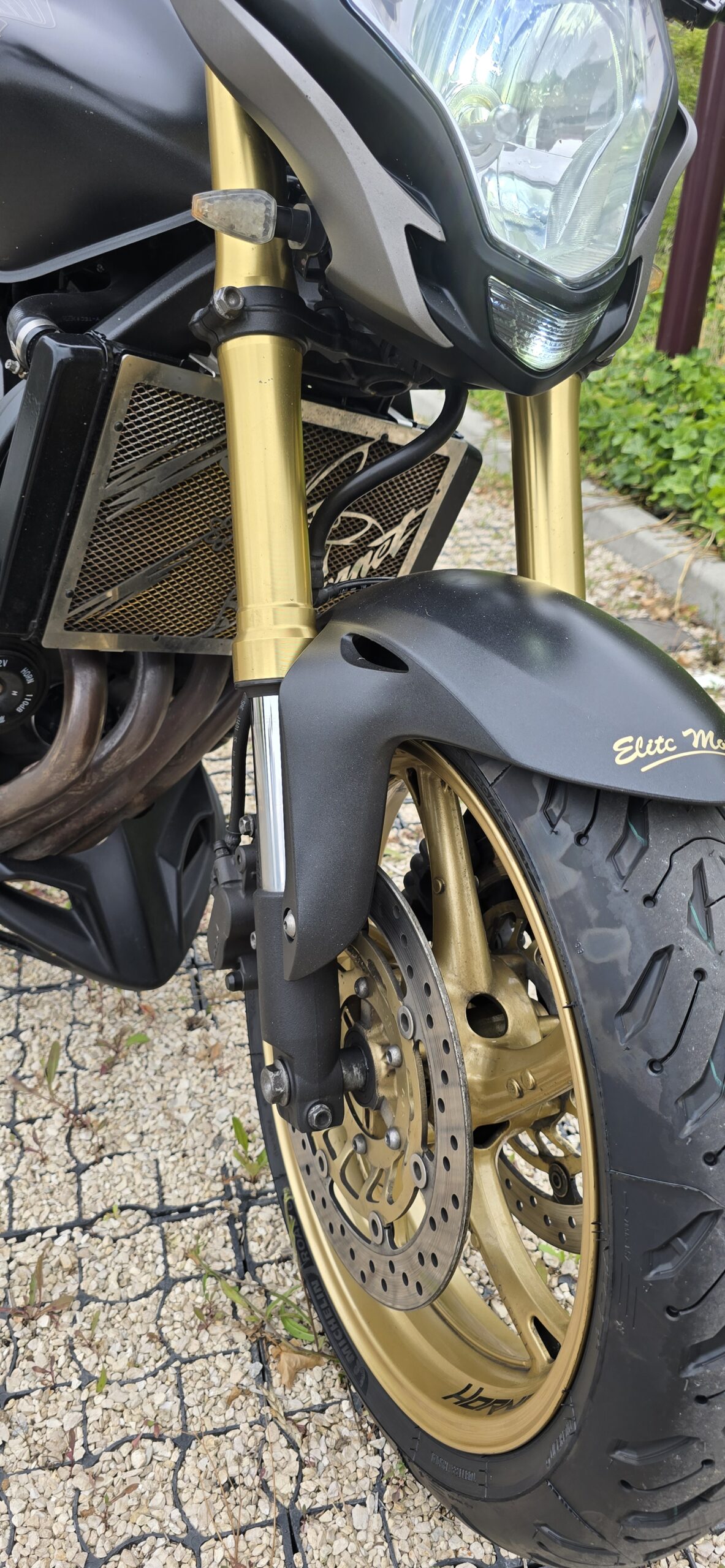Honda Hornet 600 R édition special Rizzoma - Image 9